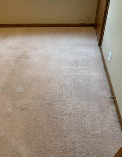 Carpet Cleaning After