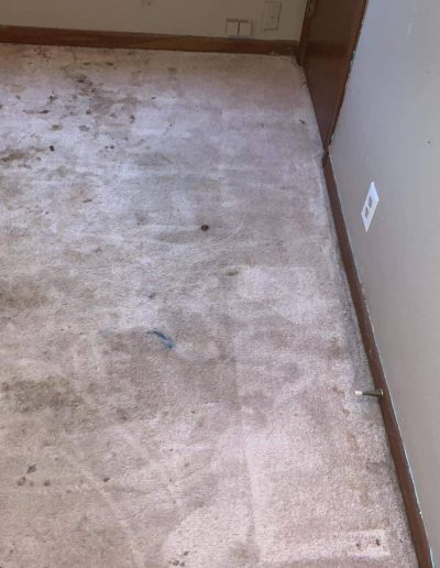 Carpet Cleaning Before