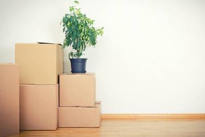 Move Out – Trash Out Cleaning